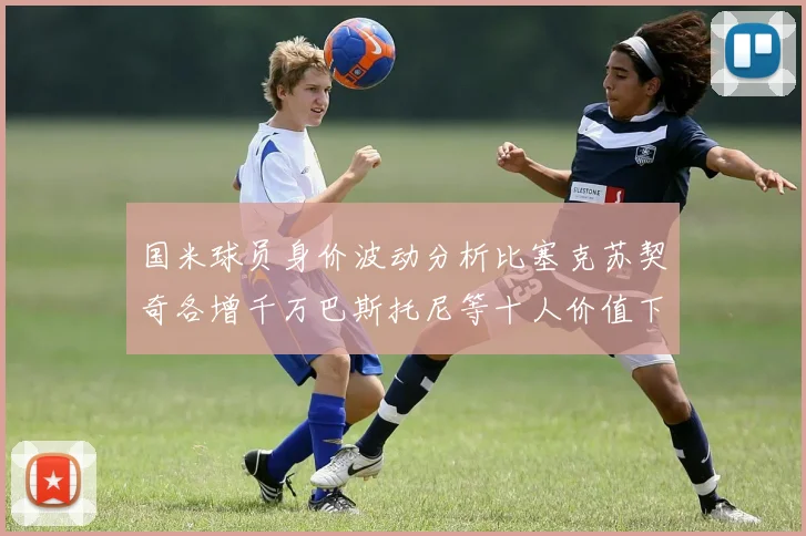 国米球员身价波动分析比塞克苏契奇各增千万巴斯托尼等十人价值下滑