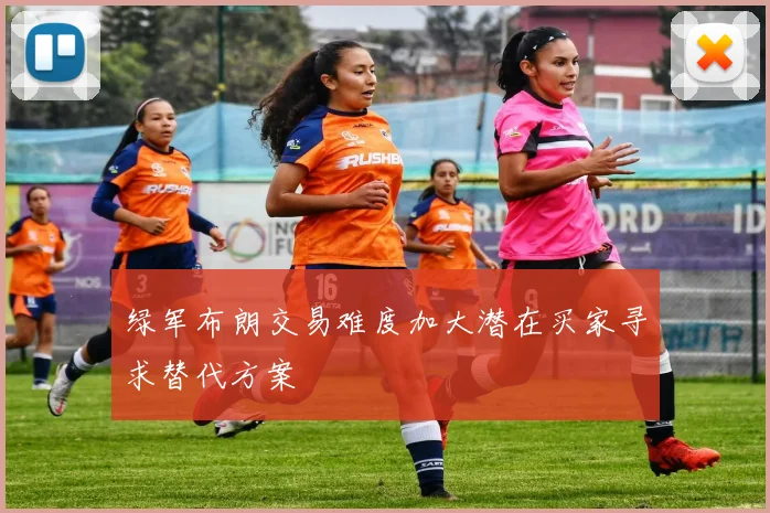 绿军布朗交易难度加大潜在买家寻求替代方案