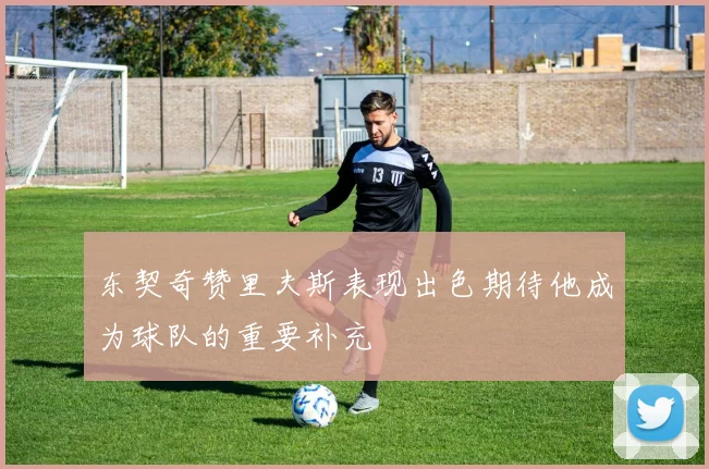 东契奇赞里夫斯表现出色期待他成为球队的重要补充